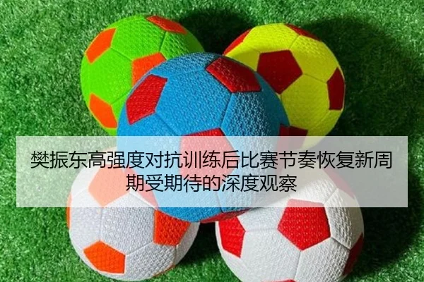 樊振东高强度对抗训练后比赛节奏恢复新周期受期待的深度观察